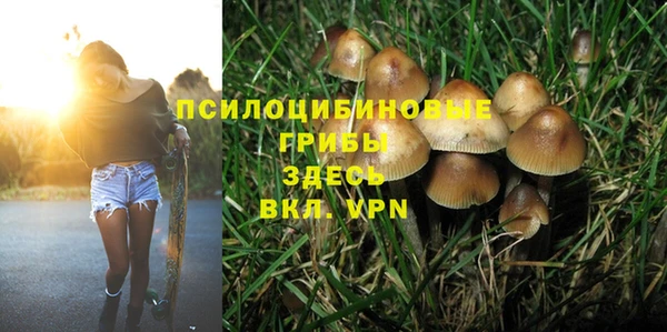 гидропоника Алексеевка
